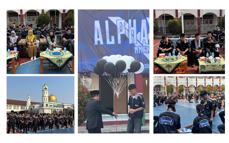 launching al phavera 16
